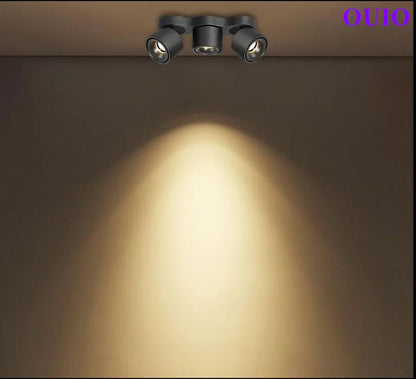 Folding Rotating COB LED Downlight with Adjustable Brightness