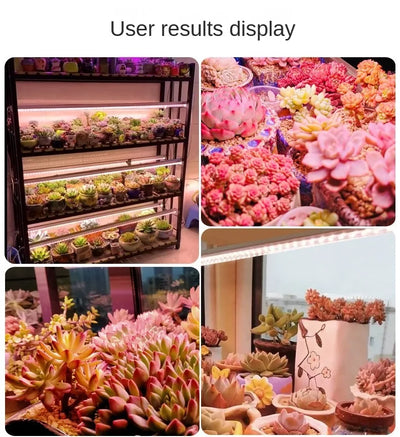 E27 Full Spectrum COB LED Grow Light Bulb for Indoor Plants & Greenhouse Cultivation