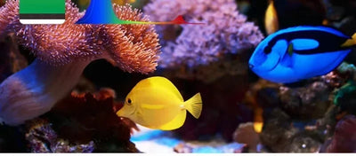 Week Aqua Z Series LED Reef Light – Bluetooth Programmable Coral Aquarium Lighting