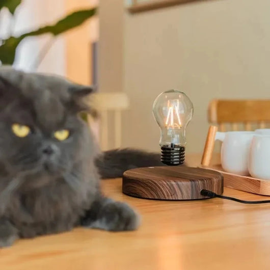 Magnetic Levitation Lamp Creativity Floating Glass LED Bulb