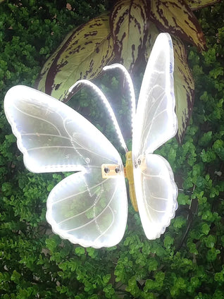 Butterfly Decorative Light