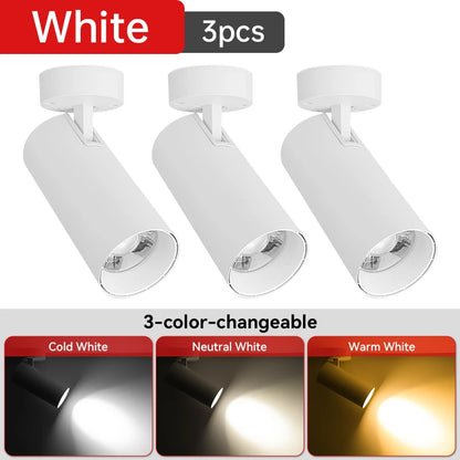 LED Ceiling Spotlight 110V