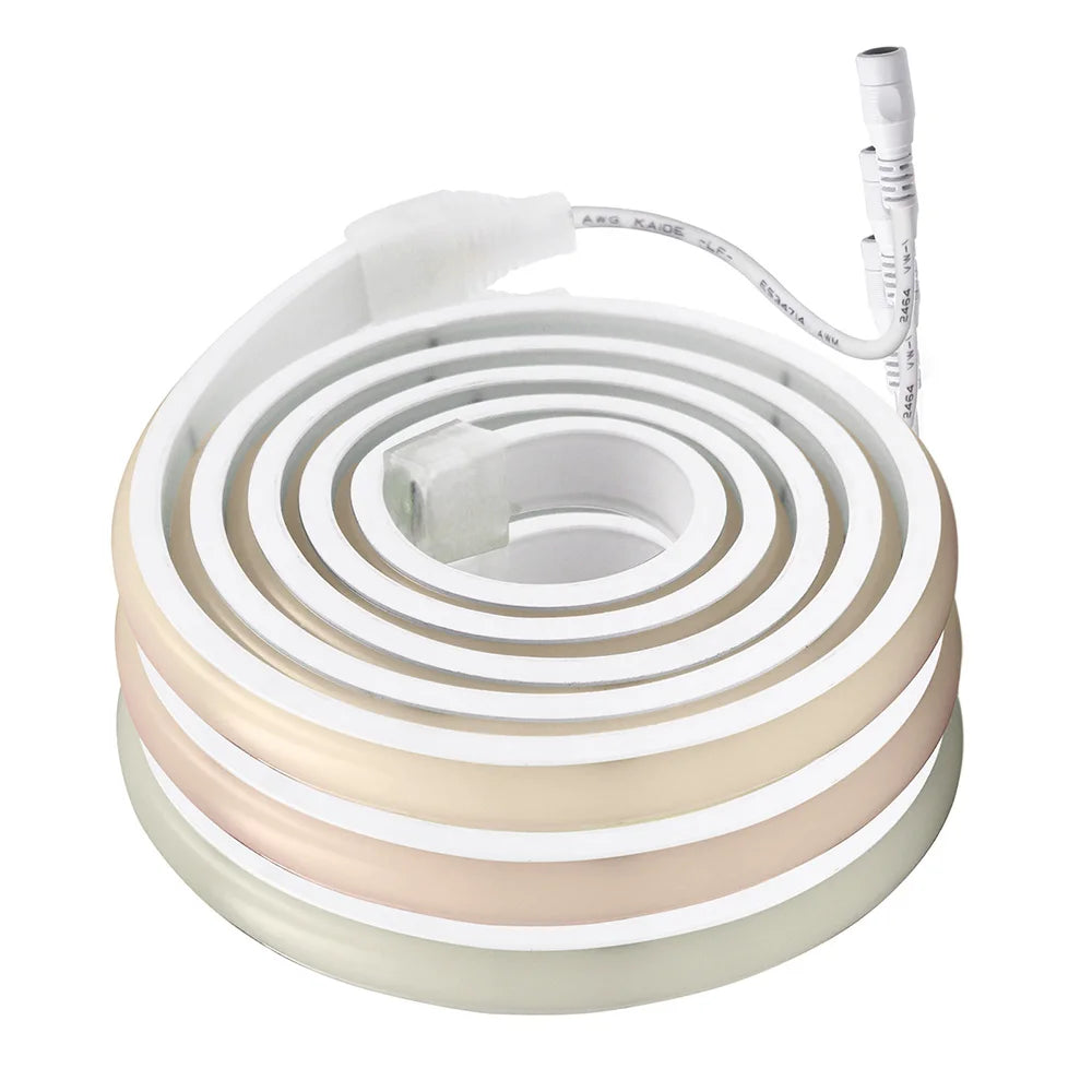 Neon Strip Light 12V 24V Dimmable 320 LEDs