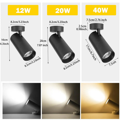 LED Ceiling Spotlight 110V