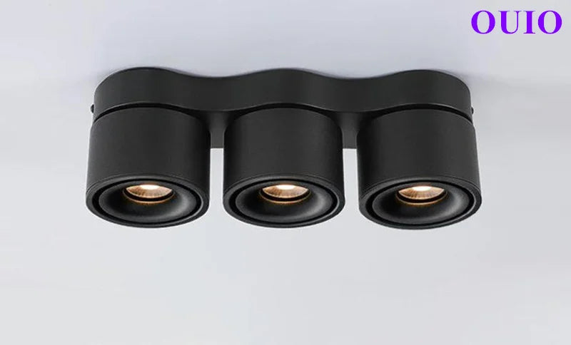 Folding Rotating COB LED Downlight with Adjustable Brightness