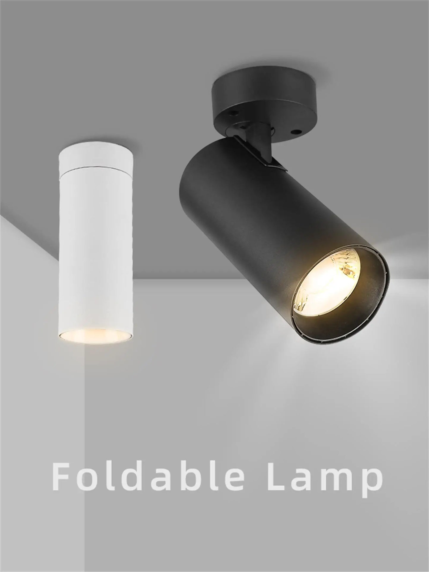 LED Ceiling Spotlight 110V