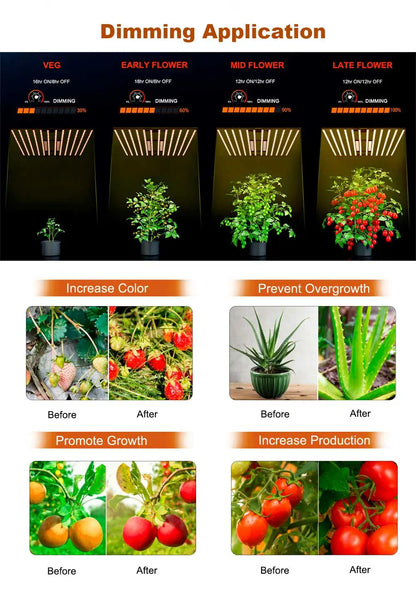 1000W / 1500W / 2000W LED Grow Light