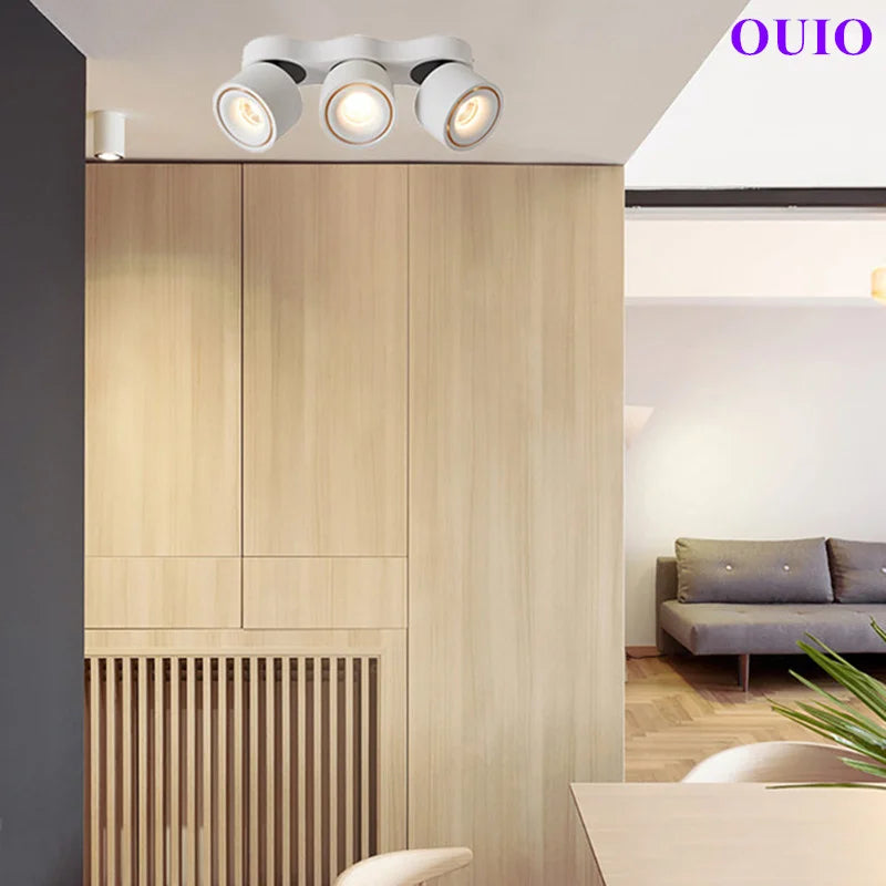 Folding Rotating COB LED Downlight with Adjustable Brightness