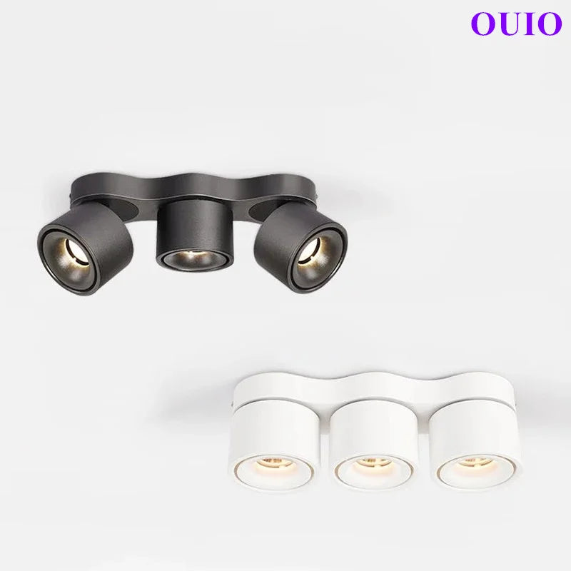 Folding Rotating COB LED Downlight with Adjustable Brightness