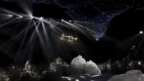 Starry Sky Net Lights – LED Ceiling Decoration for Events & Holidays