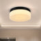 12-Inch Black 24W Flush Mount LED Ceiling Light