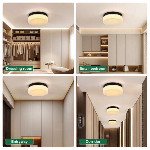 12-Inch Black 24W Flush Mount LED Ceiling Light