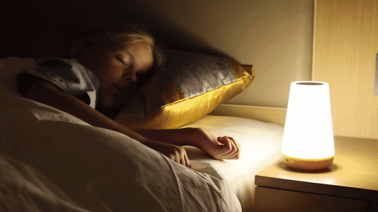 RGB LED Night Light 13 Colors Touch & Remote Control
