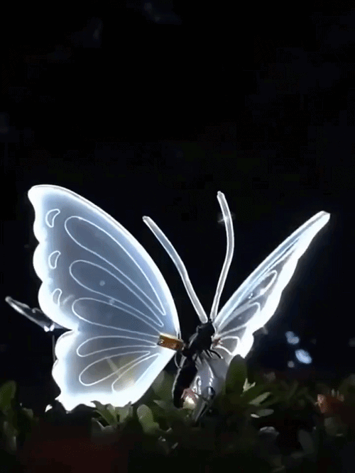 Butterfly Decorative Light