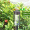 Solar LED Pathway Lights with Warm Landscape Illumination