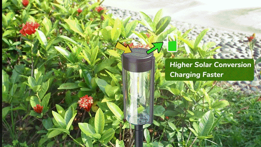 Solar LED Pathway Lights with Warm Landscape Illumination