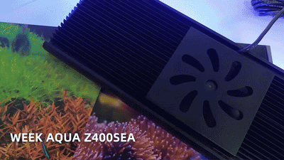 Week Aqua Z Series LED Reef Light – Bluetooth Programmable Coral Aquarium Lighting