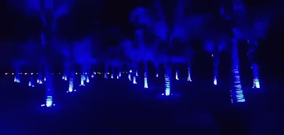RGB LED Tree Hug Lights Outdoor Projection Lamp