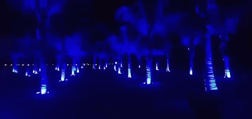 RGB LED Tree Hug Lights Outdoor Projection Lamp