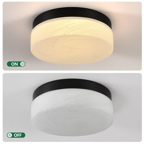 12-Inch Black 24W Flush Mount LED Ceiling Light